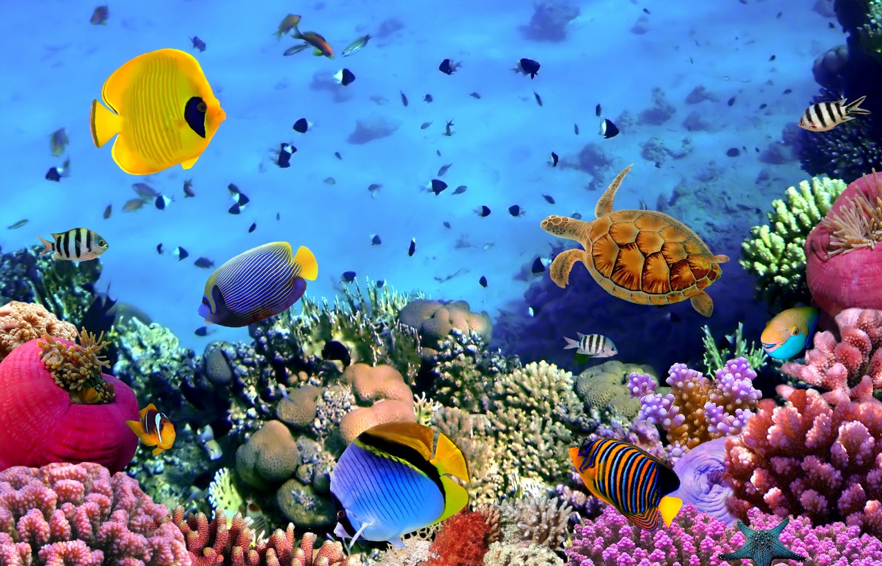 Glass Design & Backpainted Glass Work